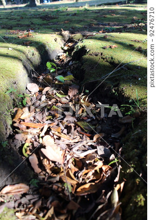 A crack in the ground where dead leaves gather A crack in the ground where dead leaves gather 92476710