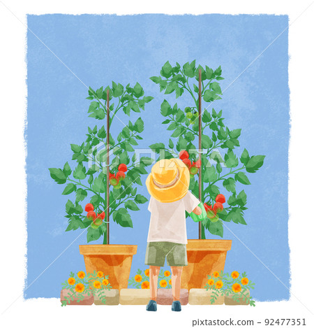 Handwritten watercolor style illustration of a child watering in the vegetable garden Handwritten watercolor style illustration of a child watering in the vegetable garden 92477351