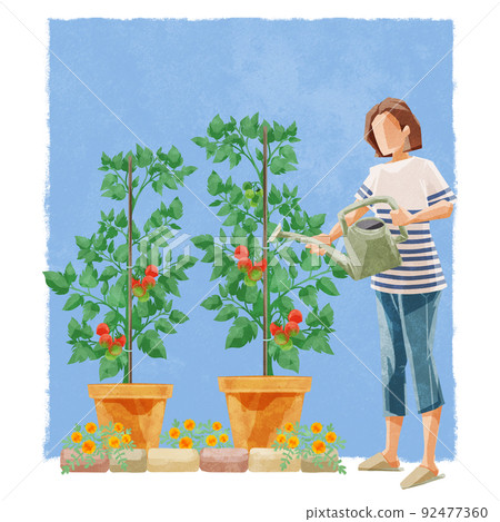一個人在菜園裡澆水的手寫水彩風格插圖 92477360