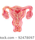 Female internal reproductive organs uterus ovaries 92478097