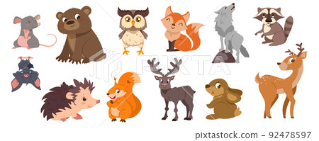 Cute forest animals and birds collection Cute forest animals and birds collection 92478597