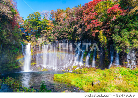 [秋季素材]紅葉季節的白絲瀑布和彩虹[靜岡縣] 92479169