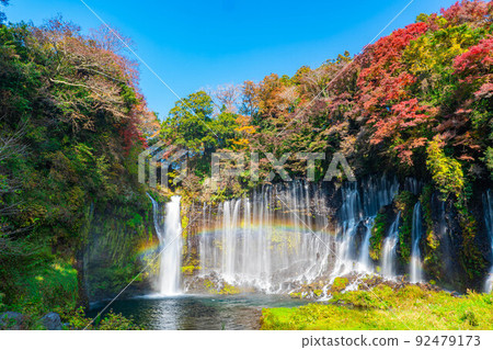[Autumn material] Shiraito waterfall and rainbow in the autumn leaves season [Shizuoka Prefecture] 92479173