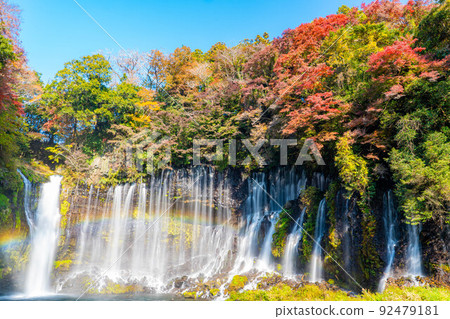 [秋季素材]紅葉季節的白絲瀑布和彩虹[靜岡縣] 92479181
