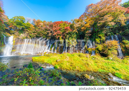 [Autumn material] Shiraito waterfall and rainbow in the autumn leaves season [Shizuoka Prefecture] 92479459