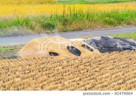 [秋季材料]製作熏木炭[長野縣] 92479864