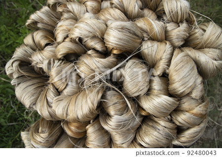 thick brown bundle of raw jute fiber Texture Background thick brown bundle of raw jute fiber Texture Background 92480043