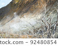 大涌谷的枯樹和火山氣體 92480854