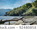 蘆之湖和浮木 92480858