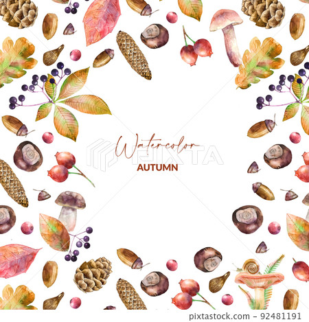 Template with watercolor illustrated mushrooms, leaves, berries, chestnuts and cones. Hand drawn fall elements. Autumn design for packaging, invitation and greeting card. Template with watercolor illustrated mushrooms, leaves, berries, chestnuts and cones. Hand drawn fall elements. Autumn design for packaging, invitation and greeting card. 92481191