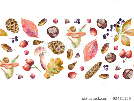 Seamless border with watercolor illustrated mushrooms, leaves, berries, chestnuts and cones. Hand drawn fall elements. Autumn design for packaging, invitation and greeting card. 92481199