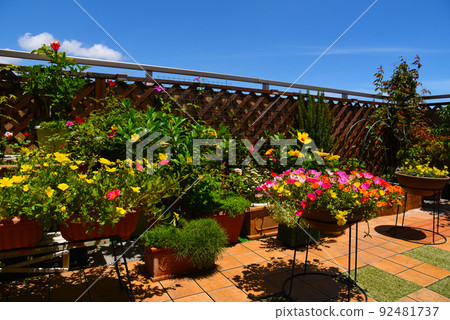 Roof balcony full of flowers in the summer sun 92481737