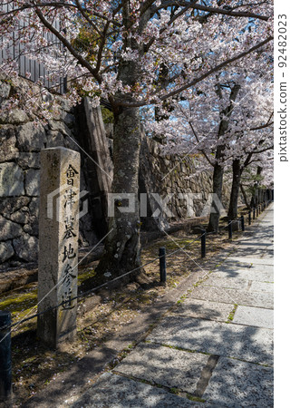 Aizu Clan Cemetery Kurodani Konkai Komyo-ji Temple 92482023