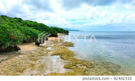 珊瑚礁海灘鳥瞰圖 珊瑚礁海灘鳥瞰圖 92482316