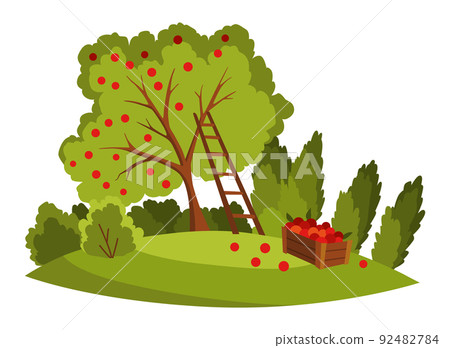 Farm landscape. Agriculture field, rural nature scene. Ruralfield panorama with apple tree and harvest Farm landscape. Agriculture field, rural nature scene. Ruralfield panorama with apple tree and harvest 92482784