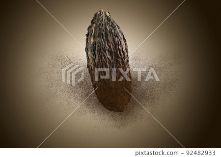 cocoa pod 92482933