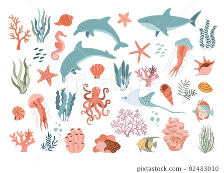 Set with hand drawn sea animals and plants vector illustration. Fish, jellyfish, dolphins, shark, shells, seaweed and corals. Beautiful underwater world in cartoon style. Diving center. 92483010