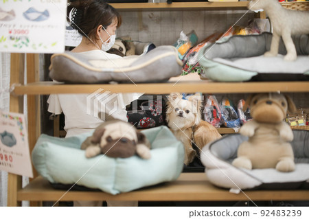 通過寵物店產品可以看到米色長外套吉娃娃和它的主人女人 92483239