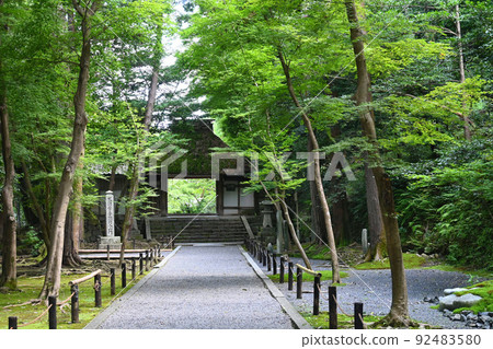 7月上午參觀的京都市法念院的入口和寺門很漂亮。 92483580