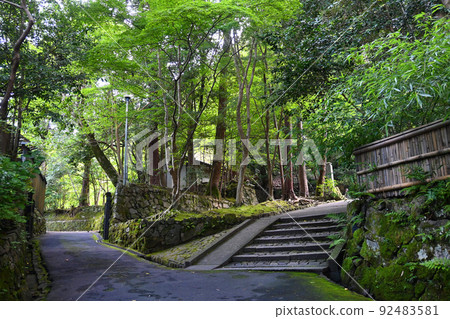 7月上午參觀的京都市法年院的路很漂亮 92483581