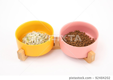 碗中手工製作的寵物飯和市售的狗糧 92484202