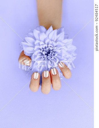 Woman with manicure and flower Woman with manicure and flower 92484517