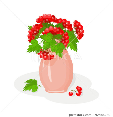 Ceramic flower vase with viburnum. Guelder rose. Red berry. Isolated illustration on a white background. Cartoon. Vector Ceramic flower vase with viburnum. Guelder rose. Red berry. Isolated illustration on a white background. Cartoon. Vector 92486280