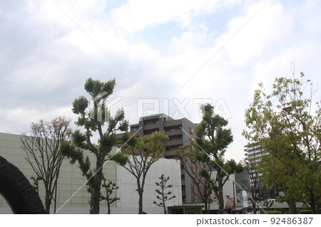 長野市貢多 長野市貢多 92486387