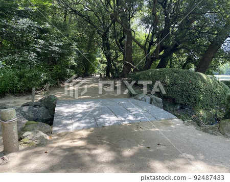 森林公園裡的一座小橋 92487483