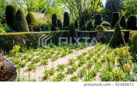 Great geometrical topiar bushes - conuses and cylinders in the Agapanthe and Blooming Onion Great geometrical topiar bushes - conuses and cylinders in the Agapanthe and Blooming Onion 92488653