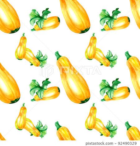Yellow squashe plants watercolor illustration seamless pattern 92490329