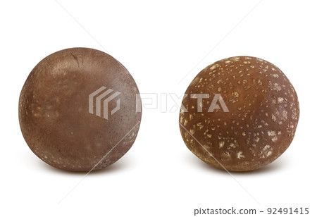 Shiitake Shiitake Illustration Real Set 92491415