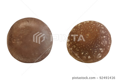 Shiitake Shiitake Illustration Real Set Shiitake Shiitake Illustration Real Set 92491416