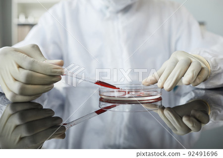 Blood Tests in Biotech Laboratory Blood Tests in Biotech Laboratory 92491696
