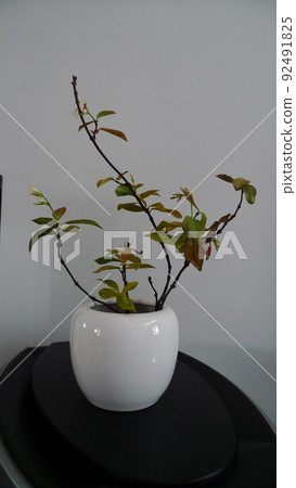 花瓶,插花,花藝,花瓶、フラワーアレンジメント、vases, flower arrangements 花瓶,插花,花藝,花瓶、フラワーアレンジメント、vases, flower arrangements 92491825