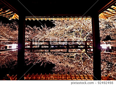 Night cherry blossoms at Mitsui-ji Temple Night cherry blossoms at Mitsui-ji Temple 92492498