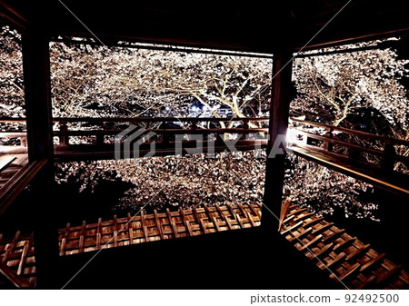 Night cherry blossoms at Mitsui-ji Temple Night cherry blossoms at Mitsui-ji Temple 92492500