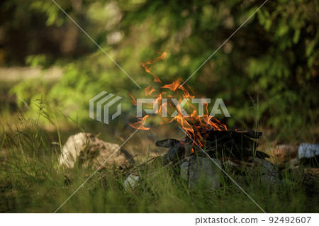 Close up of burning timber bonfire in summer forest..The concept of adventure, travel, tourism, camping, survival and evacuation. Close up of burning timber bonfire in summer forest..The concept of adventure, travel, tourism, camping, survival and evacuation. 92492607