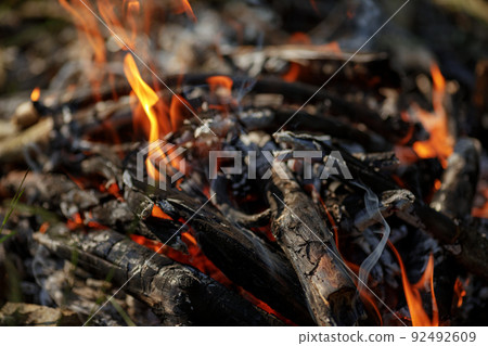 Close up of burning timber bonfire in summer forest..The concept of adventure, travel, tourism, camping, survival and evacuation. Close up of burning timber bonfire in summer forest..The concept of adventure, travel, tourism, camping, survival and evacuation. 92492609