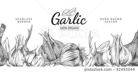 Garlic seamless border or frame, hand drawn...-插圖素材 [92493044] - PIXTA圖庫