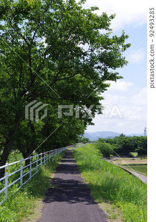 Bicycle path in early summer ... Yasugi City, Shimane Prefecture: Sunny Bicycle path in early summer ... Yasugi City, Shimane Prefecture: Sunny 92493285