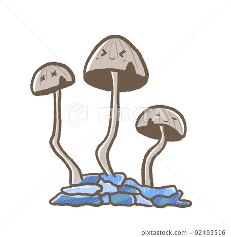 R: More fairy tale mushrooms ☆ Waraitake ② 92493516