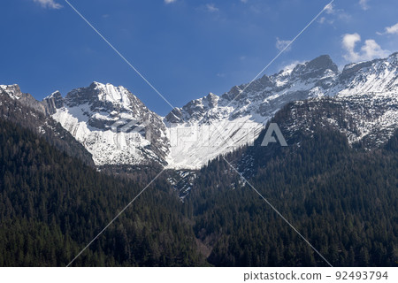 Eternal snows on the peaks of the Dolomites covered with dense centuries-old forest 92493794