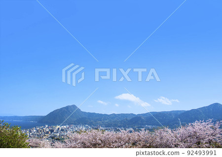 Mount Takasaki and Sakura (Beppu city area) 92493991