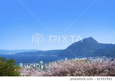 Mount Takasaki and Sakura (Beppu city area) 92493992