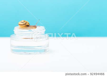 A snail crawls over a glass bottle of snail mucin face serum. The use of snail mucin in cosmetology, space for text. Skin care and beauty concept 92494466