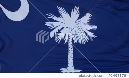 Flag of South Carolina state, region of the United States, waving at wind. 3d illustration Flag of South Carolina state, region of the United States, waving at wind. 3d illustration 92495176