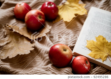 Red apples laying near open book with yellow maple lead as bookmark 92495286