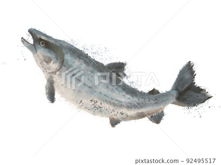 手繪三文魚 01 手繪三文魚 01 92495517