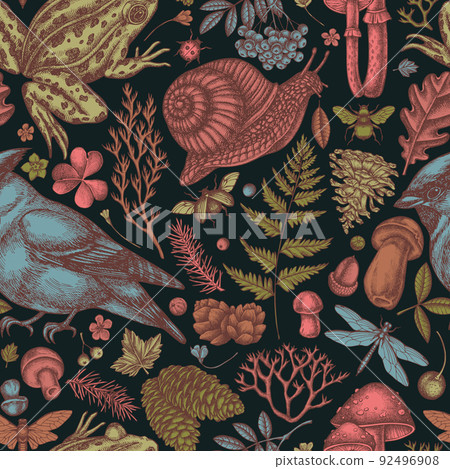 Mysterious forest seamless pattern background design. Engraved style. Hand drawn waxwing, snail, pool frog, moss, spruce branch, pine cones, mushrooms, insect, porcini, oak, rowan, clover, fern. 92496908